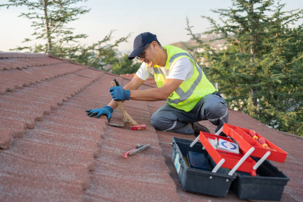 Best Roof Maintenance Services  in Lus Valley Marinwood, CA